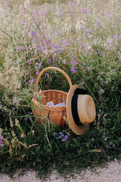 How to Plan a Simple Picnic at a Local Park
